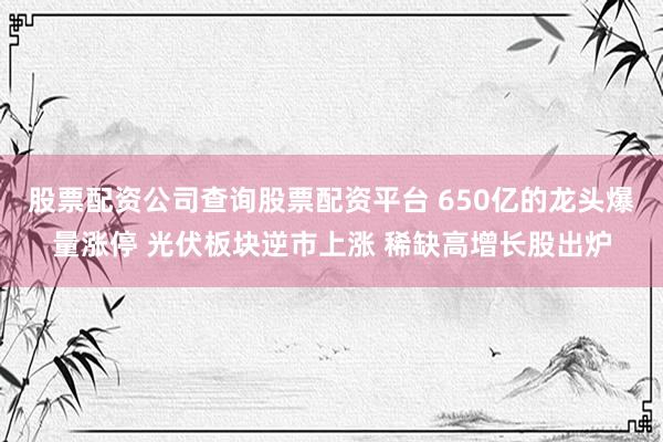 股票配资公司查询股票配资平台 650亿的龙头爆量涨停 光伏板块逆市上涨 稀缺高增长股出炉