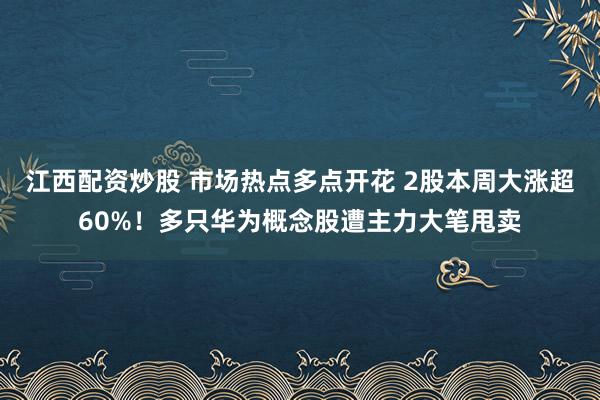 江西配资炒股 市场热点多点开花 2股本周大涨超60%！多只华为概念股遭主力大笔甩卖