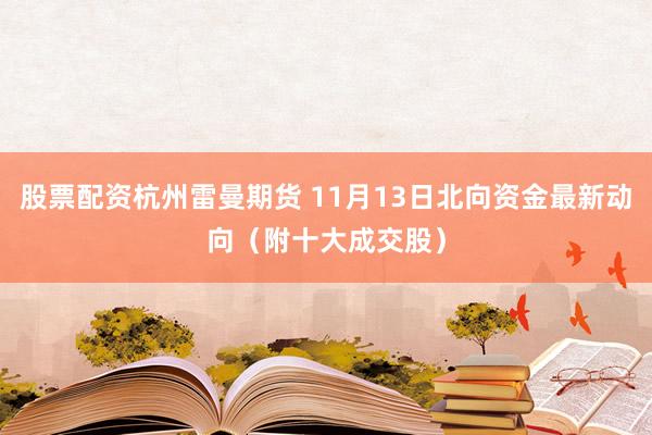 股票配资杭州雷曼期货 11月13日北向资金最新动向（附十大成交股）