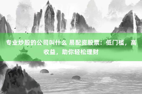 专业炒股的公司叫什么 易配资股票：低门槛，高收益，助你轻松理财