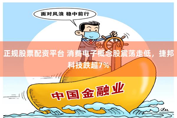正规股票配资平台 消费电子概念股震荡走低，捷邦科技跌超7%
